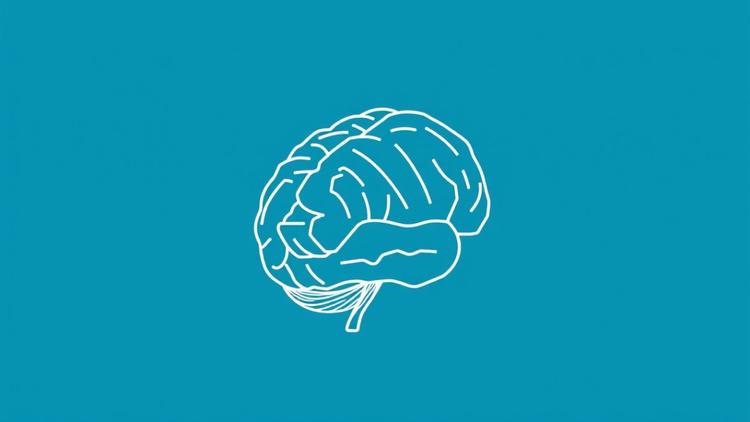 A Practical Guide to NeuroLeadership
