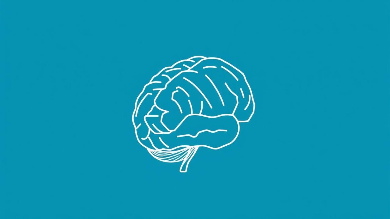 A Practical Guide to NeuroLeadership